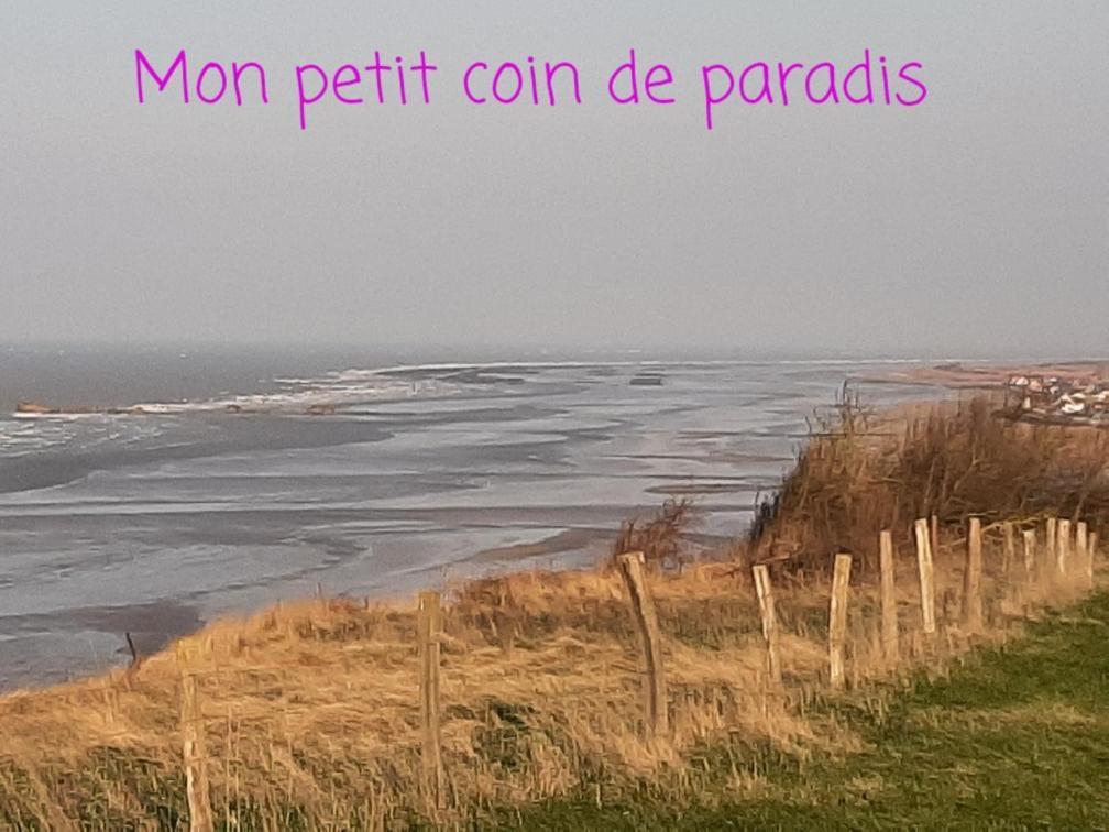 Les Heures Tranquilles - Vue Mer - 50M De La Plage Saint-Côme-de-Fresné المظهر الخارجي الصورة